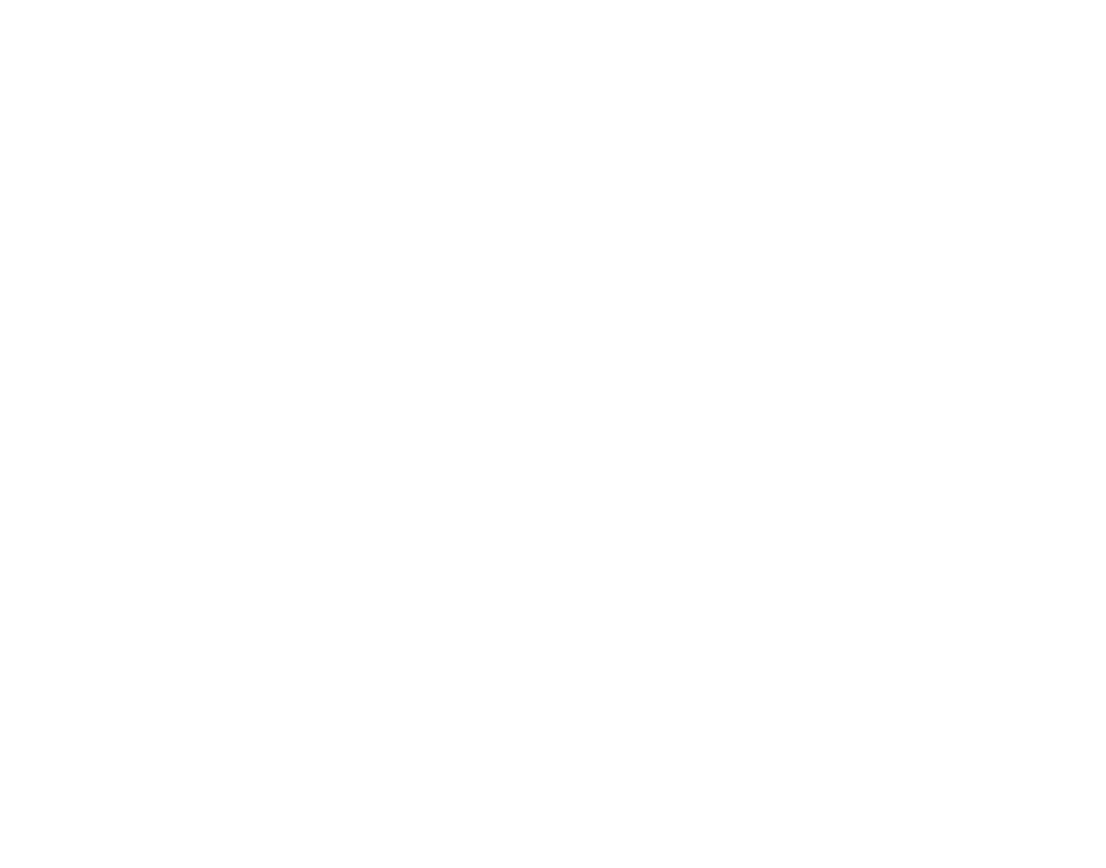 P3ACH × Die Hamburger Goldkehlchen